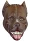 Pitbull mask for adults