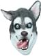 Maschera di cane Husky per adulto