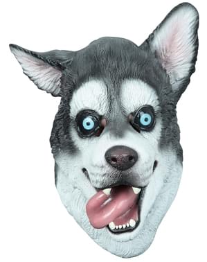 Mask hund Husky för vuxen