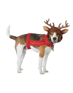 Rensdyr kostume til hunde