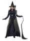 Gothic Witch costume for women large size