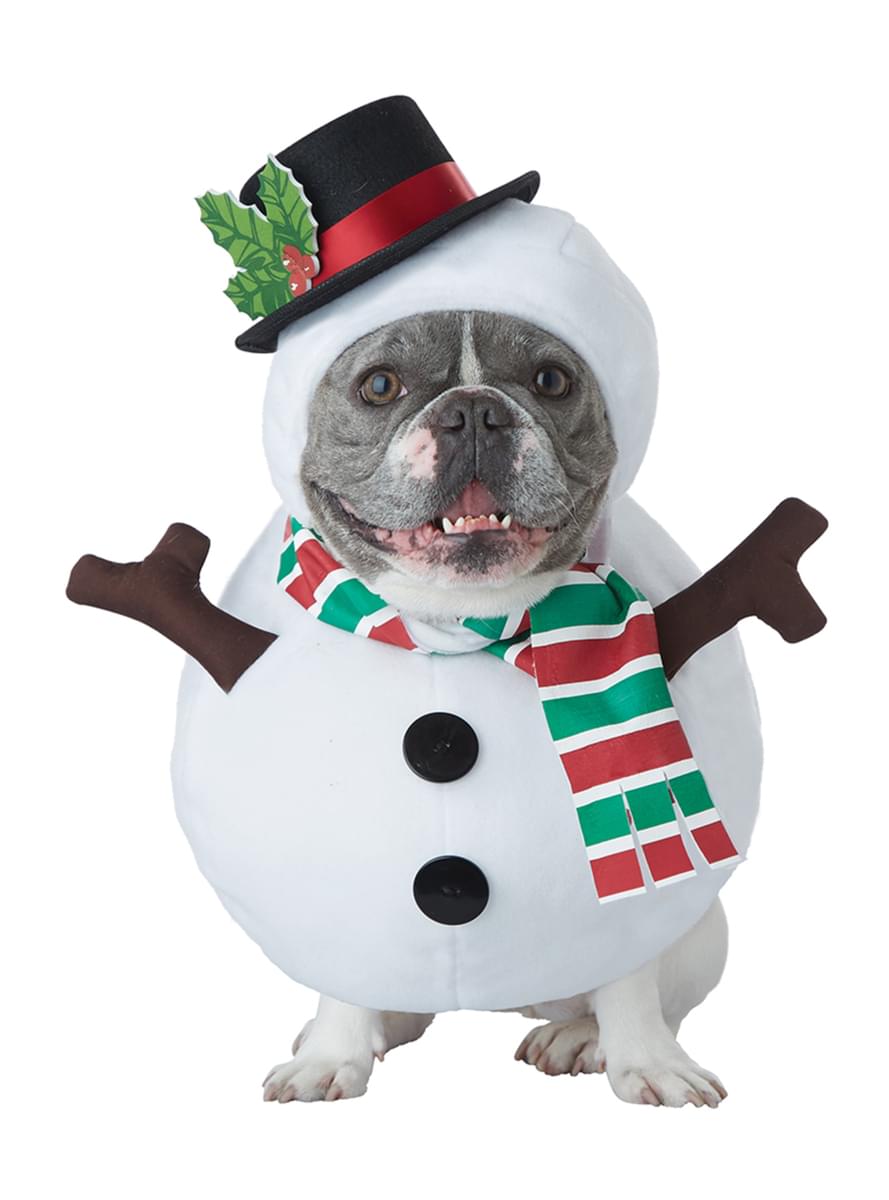 Snowman costume for dos