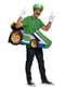 Luigi Kart costume for adults - Super Mario Bros