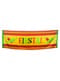 Bandeira decorativa para festa mexicana