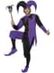 Court Jester Adult Costume