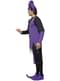 Court Jester Adult Costume