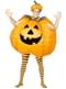 Inflatable Pumpkin Adult Costume