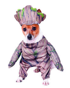 Groot Costume for dogs