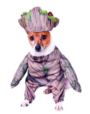 犬用グルートコスチューム