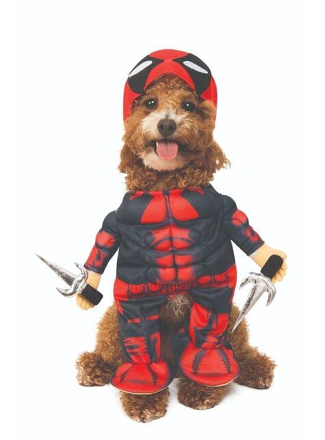 verdwijnen Negen Bedoel Deadpool kostuum voor honden. De coolste | Funidelia