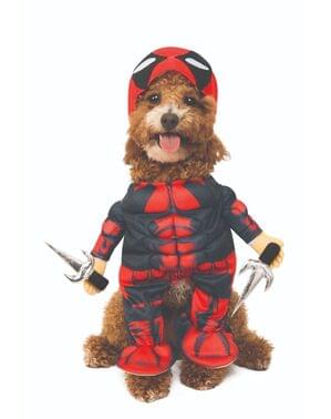 Deadpool kostyme til hunder - Marvel