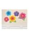 Sett med 5 dekorative Hawaii blomster