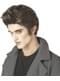 Peluca vampiro Edward