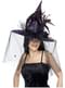 Witch Hat with Purple Feathers