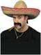 Mexicansk sombrero