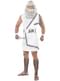 Zeus Costume