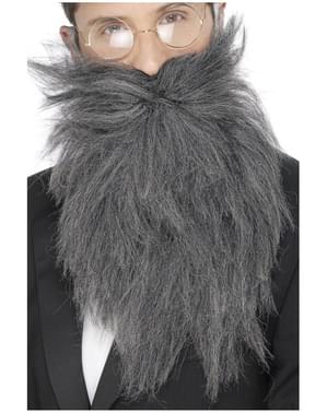 Barba lunga e baffi grigi