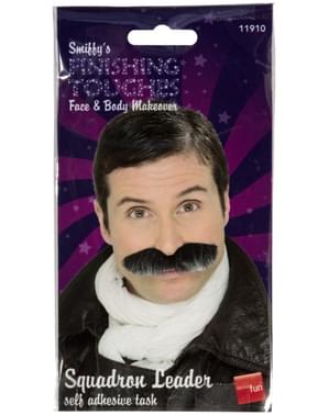 Командувач ВПС Вуса