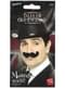 Moustache de music hall