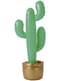 Cactus hinchable
