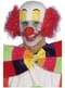 Bold Clown Wig