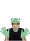 Kit de la grenouille