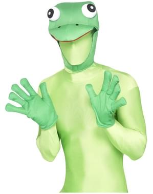 Frog Kit