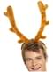 Stag Do Reindeer Antlers