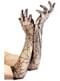 Gants de dentelle long