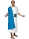 Deluxe Roman Senate Adult Costume