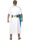 Deluxe Roman Senate Adult Costume