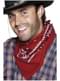 Cowboyscarf
