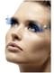 Blaue Wimpern mit Federn