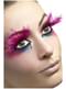 Eyelashes with Fuchsia Feathers