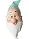 Bashful dwarf mask for adults - Snow White and the 7 dwarfs