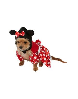 Köpekler için Minnie Mouse kostümü