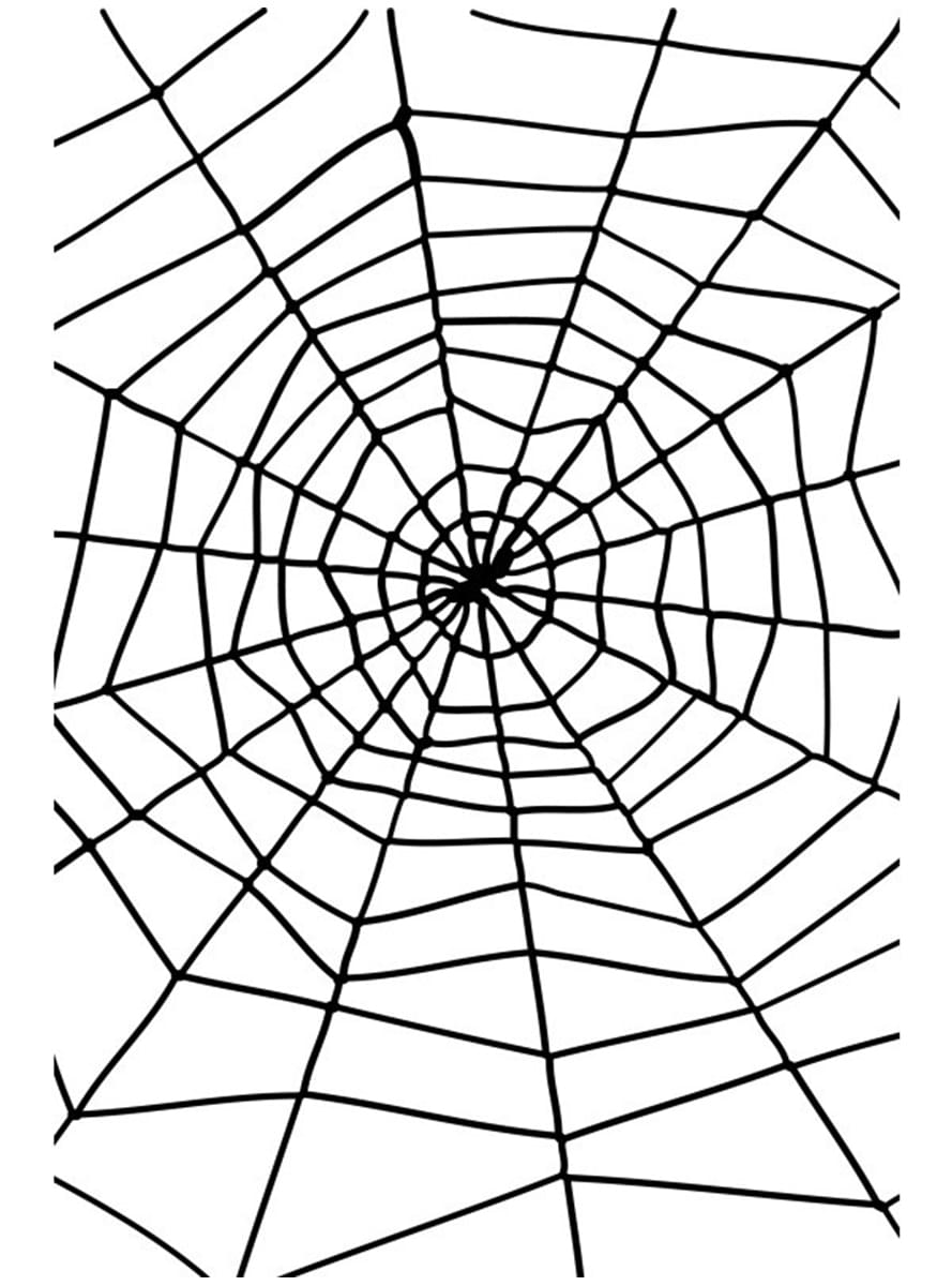 web negro web negro