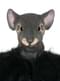 Grey rat mask for adults