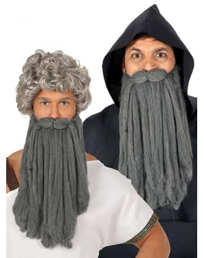 Barbă lungă de bătrân gri pentru bărbat