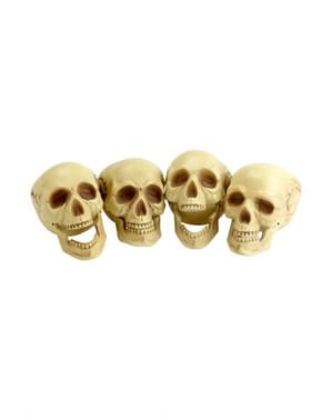 Decorative Skulls