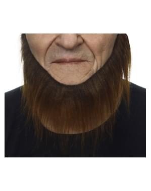 Ungepflegter Bart braun