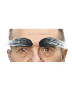 Super bushy grey eyebrows