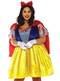 Plus size sexy Snow White costume for women
