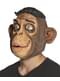 Masque singe adulte