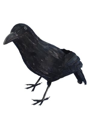 Cuervo terrorífico