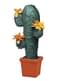 Pinata moyenne cactus