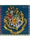 16 Hogwarts Houses napking (33x33cm) - Harry Potter