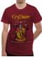 Camiseta Gryffindor Quidditch para adulto - Harry Potter