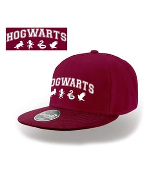 Yetişkinler için Hogwarts şapkası - Harry Potter