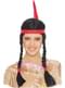 Indian Wig with Feather & Braids
